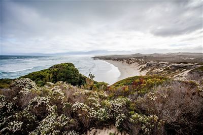 Launische Natur an der Walker Bay